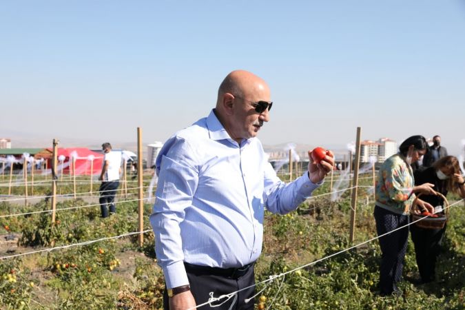 Keçiören’de ATA tohumunun lezzetli mahsulleri hasat edildi 1