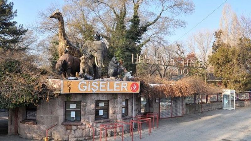 Ankarada Nerede Hayvanat Bahcesi Var? Ankara'nın en iyi Hayvanat Bahçesi Nerede 2021? AOÇ, Keçiören Ve Sincan Hayvanat Bahçeleri Nerede? 3