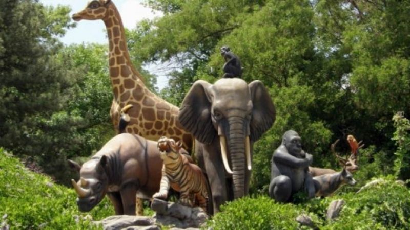 Ankarada Nerede Hayvanat Bahcesi Var? Ankara'nın en iyi Hayvanat Bahçesi Nerede 2021? AOÇ, Keçiören Ve Sincan Hayvanat Bahçeleri Nerede? 1
