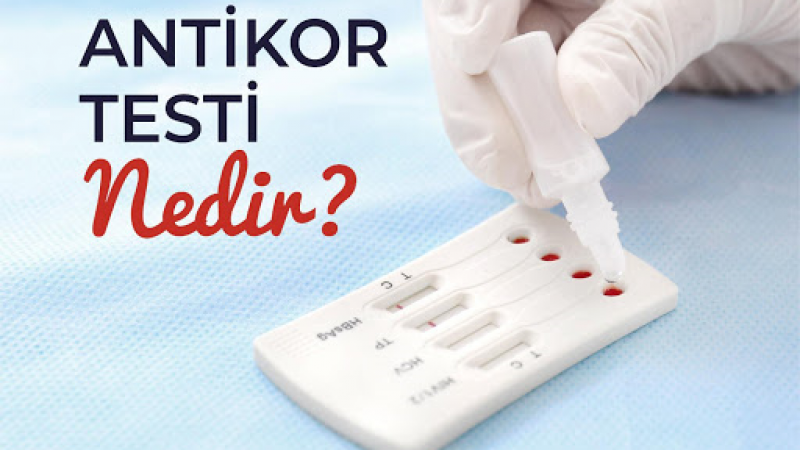 Antikor Testi Nasıl Yapılır? Antikor Testi Ankara'da Nerede Yapılır? Antikor Testi Fiyatı Ankara 1