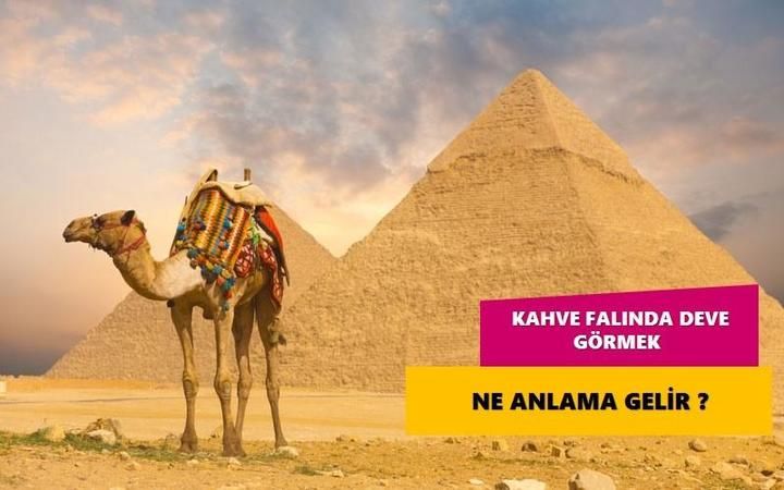 Falda Deve Görmek Ne Anlama Gelir? Kahve Falında Oturan Deve Görmek Nedir? Kahve Falında Deve Kervanı Görmek Ne Anlama Gelir? 1