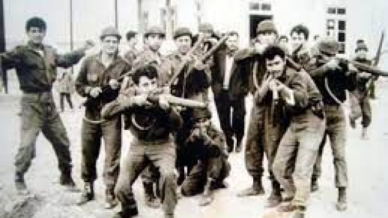 Kıbrıs Mücahiti Ne Demek? Kıbrıs Barış Harekatına Kaç Asker Katıldı? TMT Yi Kim Kurdu? EOKA Komutanı Nasıl Öldü? 2
