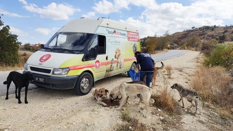 Keçiören'de Can dostlar doğal yaşam alanlarında besleniyor 5