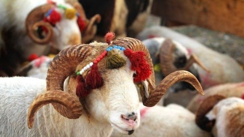 Kurban Bayramı 2022 Ne Zaman Başlıyor? 2022 Kurban Bayramı Ne Zaman Başlıyor, Ne Zaman Bitiyor? 2022 Kurban Bayramı Hangi Ay, Hangi Gün? 1