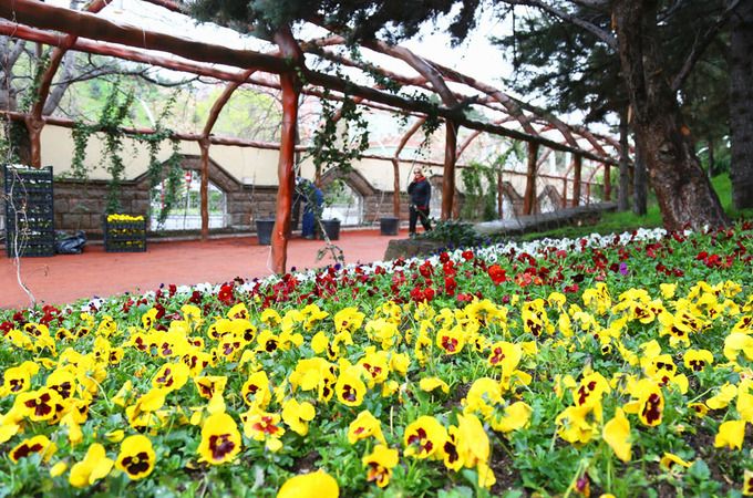 Botanik Parkı Ankara’da Nerede, Nasıl Gidilir? Botanik Park İsmini Nasıl Neden Almıştır? İşte O İsmin Hikayesi… 3