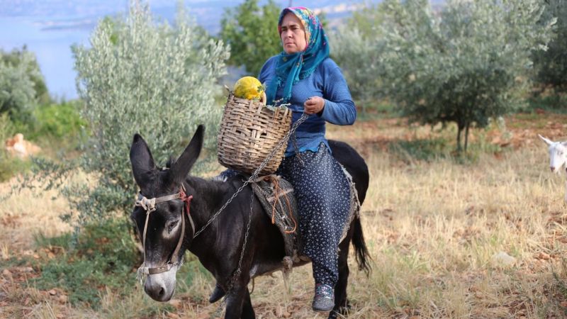 Hangi Burç Anadolu Kadınıdır? İşte Hal ve Hareketleriyle Mest Eden Burçlar… 2