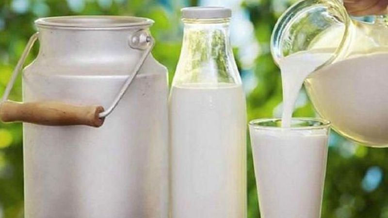 Süt Fiyatları 2021 Migros Ne Kadar Oldu? Şok, Bim, A101 Süt Ne Kadar? Süt Fiyatları Zam Geldi Mi? 1