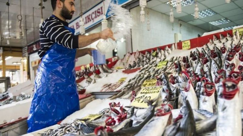 Ankara Balık Hal Fiyatları 2022 Ne Kadar? Ankara’da Bugün Güncel Balık Fiyatları Ne Oldu? İşte Ankara Ulus Hal Hamsi, İstavrit Balık Fiyatları 1
