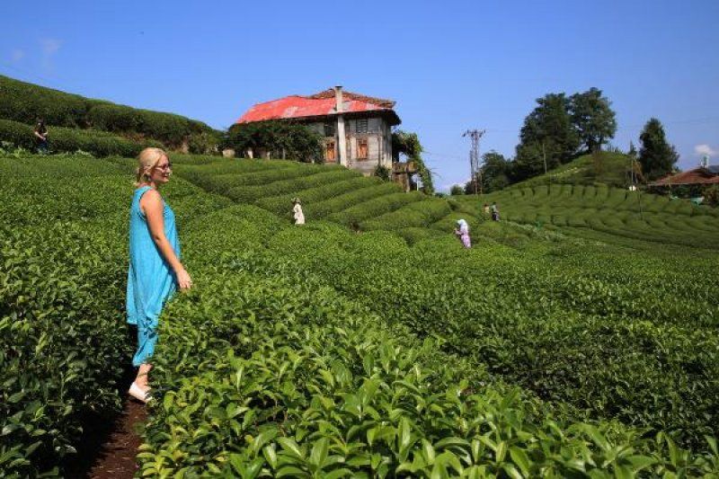 BİM Market Çay Fiyatları 2022! BİM Çayı Ucuza Mı Satıyor? İşte Berk Harman Çayı ve Çaykur Rize Turist Çay 1000 Gr Fiyatı 1