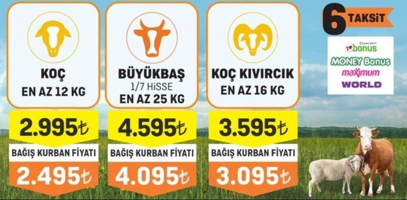 Migros Market Kurbanlık Fiyatlarını Resmen Etiket Yarısına Düştü! Böyle Fiyat Kurban Pazarlarından Bile Yok! İşte 2022 Küçükbaş ve Büyükbaş Kurbanlık Fiyatları… 3