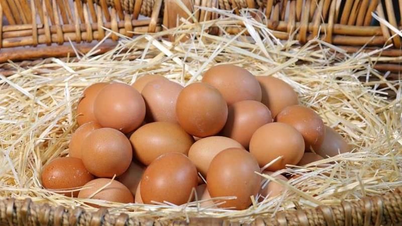 Yumurtaya Görülmemiş Zam! Yeni Yumurta Fiyatlarını Görenler Donup Kaldı! Yumurtaya Ne Kadar Zam Geldi? 2022 Temmuz Güncel Yumurta Fiyatları Ne Kadar Oldu? 2