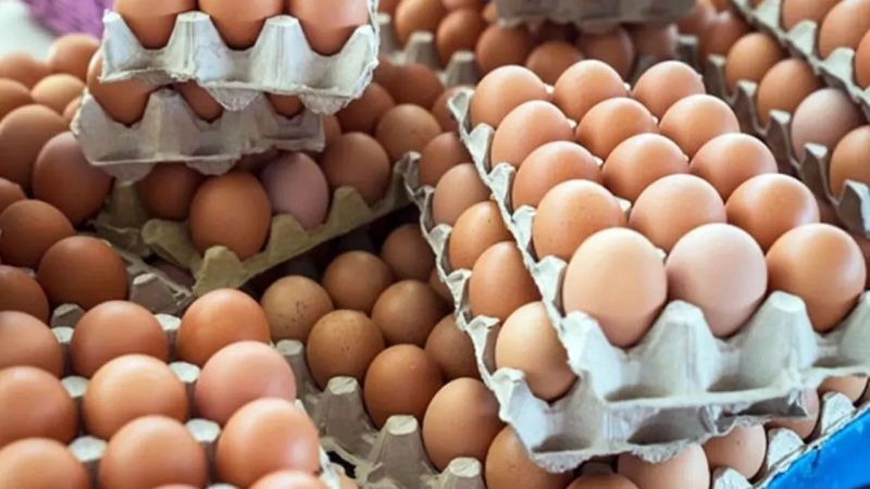 Yumurtaya Şok Eden Yeni Zam! 30’luk, 15’lik, 10’luk Yumurta Fiyatları Ne Kadar, Hangi Markette Daha Ucuz? İşte A101, Bim, Migros, CarrefourSA Güncel Yumurta Fiyatları! 1