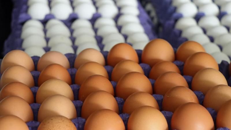 Yumurtaya Şok Eden Yeni Zam! 30’luk, 15’lik, 10’luk Yumurta Fiyatları Ne Kadar, Hangi Markette Daha Ucuz? İşte A101, Bim, Migros, CarrefourSA Güncel Yumurta Fiyatları! 3