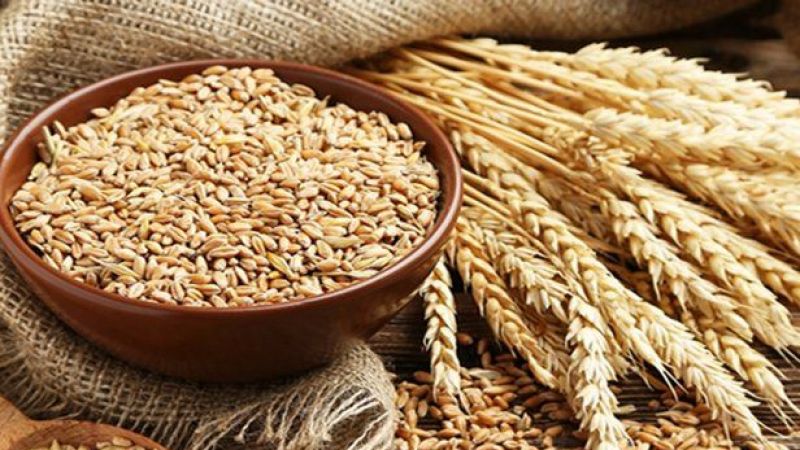 Buğday Fiyatlarına BUGÜN Zam Mı Geldi! Bugün Buğday Fiyatları Ne Kadar? Ankara’da Buğday Kaç TL? 4