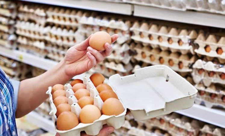 Tarım Kredi Market Yumurta Fiyatlarını Aşağı Çekti! Türem Yumurta, Organik Yumurta, Karacaköy Yumurta Fiyatları Dev İndirim! 26,95TL, 39,25TL, 41,50 TL, 46,95 TL’ye Düştü… ! 3