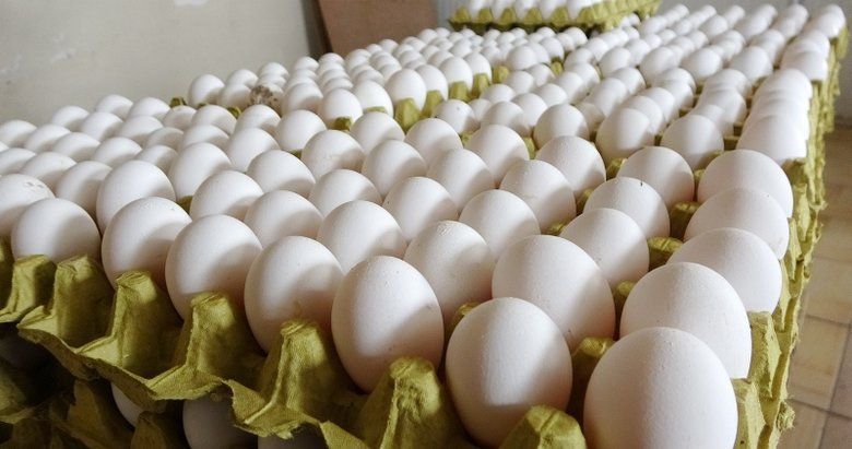 Tarım Kredi Market Yumurta Fiyatlarını Aşağı Çekti! Türem Yumurta, Organik Yumurta, Karacaköy Yumurta Fiyatları Dev İndirim! 26,95TL, 39,25TL, 41,50 TL, 46,95 TL’ye Düştü… ! 2