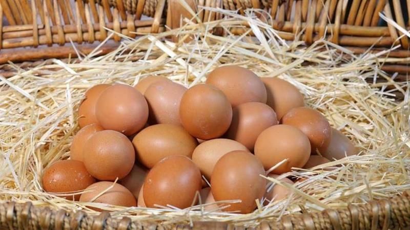 Tarım Kredi Market Yumurta Fiyatlarını Aşağı Çekti! Türem Yumurta, Organik Yumurta, Karacaköy Yumurta Fiyatları Dev İndirim! 26,95TL, 39,25TL, 41,50 TL, 46,95 TL’ye Düştü… ! 1
