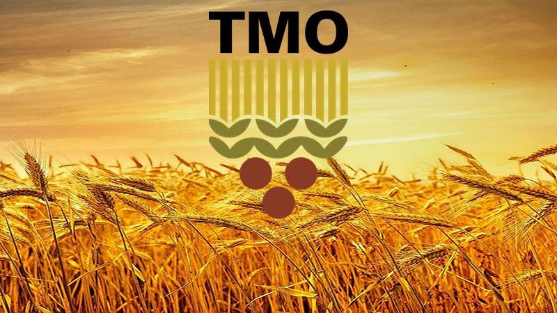 TMO Market Ürünlerine Dev İdirim Geldi! Ayçiçek Yağı, Pirinç, Nohut, Mercimek, Fındık İçi Fiyatları Düştü! Her şey 10 TL, 34 TL, 53,35 TL, 59 TL, 135 TL'ye Geriledi! 2
