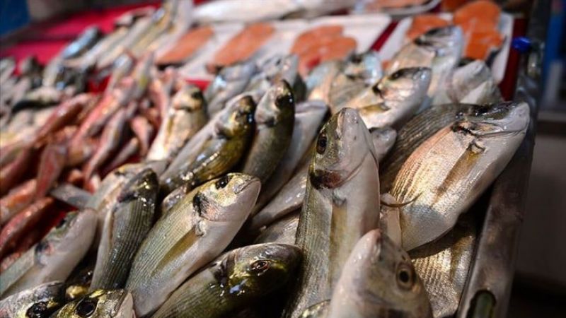 CarrefourSA Market Balık Fiyatlarına Dev İndirim! Levrek, Alabalık, Çipura, Somon Balık Fiyatları Düştü! Her şey 59,99 TL, 125,99 TL, 139,99 TL'ye! 3