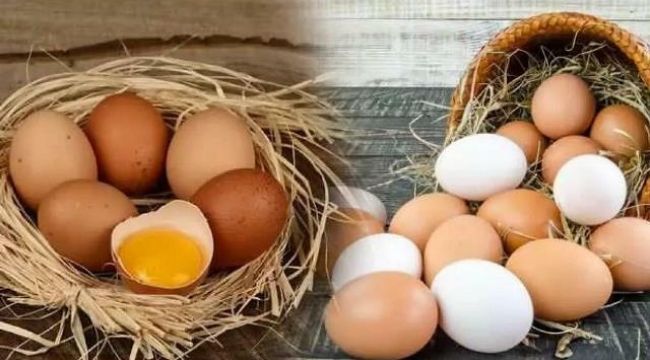 Tarım Kredi Market'te Yumurta Fiyatlarını Gören Koli Koli Alıyor! A101, BİM, ŞOK ve Migros'a Resti Çekti! En ucuz 30'lu Yumurta, 15'li Yumurta, 10'lu Yumurta Burada Satılıyor! 3