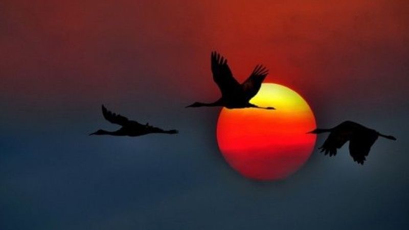 Hangi Burcun Yüreği Kuş Gibi Hafiftir? İşte Huzura Ermiş Olan Mutlu Burçlar… 2