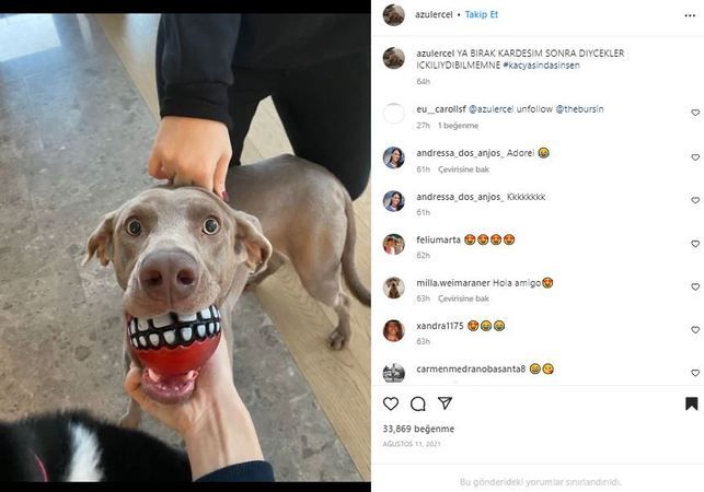 Hande Erçel’in Köpeğinin Instagram Hesabı Şok Etti! Takipçisi Sayısını Duyanların Nutku Tutuluyor; Paylaşımlar Akla Hayale Sığmıyor! “Ne Yaptın Hande Sen!” 3