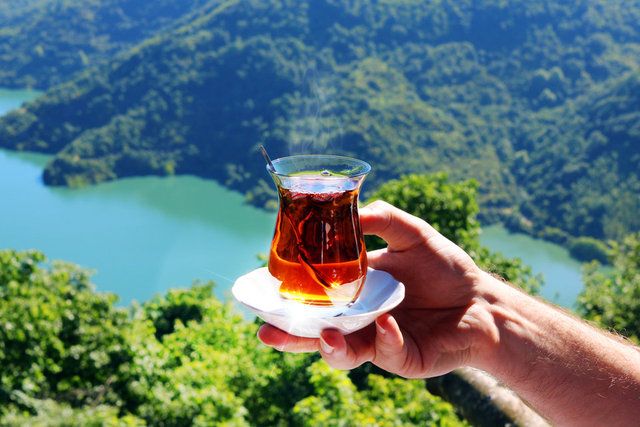 Çay Tiryakileri Toplanın! Yıllardır Çay Yerine Zehir İçiyorsunuz; Çay Demleme Öyle Yapılmaz Böyle Yapılır! “Dünya Varmış” 3