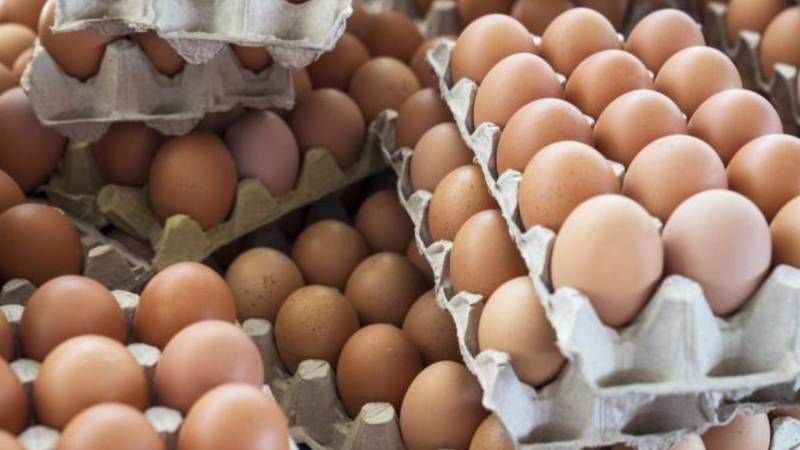 Yumurta Fiyatlarına Son 10 Yılın En Büyük İndirimi Geldi! Kapış Kapış Satılıyor; Stok Yapan Bile Var! Market Resmen Yıkılıyor… 2