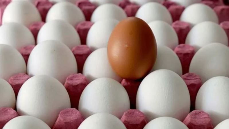 Yumurta Fiyatlarına Son 10 Yılın En Büyük İndirimi Geldi! Kapış Kapış Satılıyor; Stok Yapan Bile Var! Market Resmen Yıkılıyor… 3
