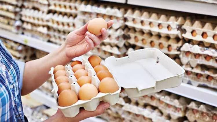 Beyaz ve Kahverengi Yumurtanın Farkını Duyan Şok Oluyor! Meğer Yumurta Bu Yüzden Renk Alıyormuş… “Yok Artık!” 2