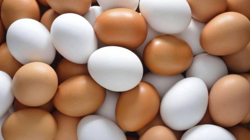 Beyaz ve Kahverengi Yumurtanın Farkını Duyan Şok Oluyor! Meğer Yumurta Bu Yüzden Renk Alıyormuş… “Yok Artık!” 4