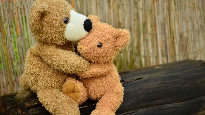 Aslan burcunun en iyi anlaştığı 3 burç belli oldu! Aşk ve dostlukları daim olur! İşte Aslan Burcunu en iyi anlayan o burçlar… 2