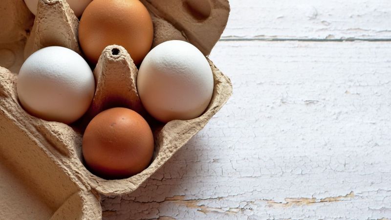 Yumurta satın alırken bu detaylara dikkat! Organik yumurta mı gezen tavuk yumurtası mı? İşte Beyaz Yumurta Ve Kahverengi Yumurta Arasındaki Farklar... 1