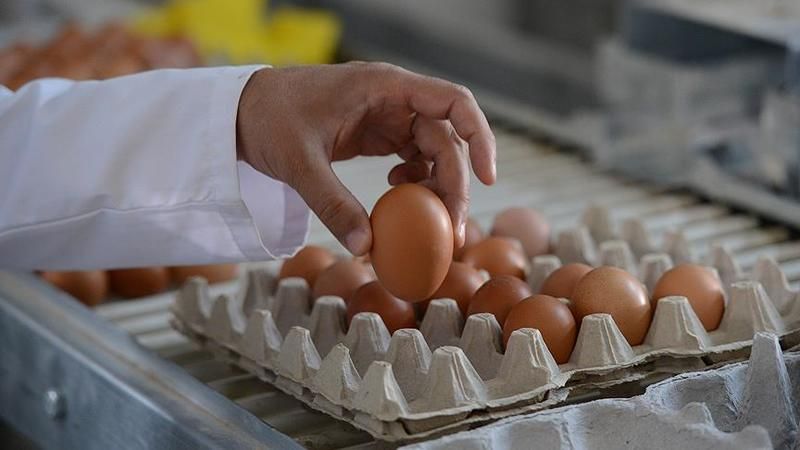 Burada 30’lu Yumurta Bile Çok Ucuz! Gören Koli Koli Alıyor; Sınırlı Stokla Satışta! 3