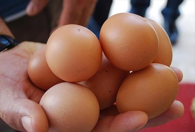 Burada 30’lu Yumurta Bile Çok Ucuz! Gören Koli Koli Alıyor; Sınırlı Stokla Satışta! 2