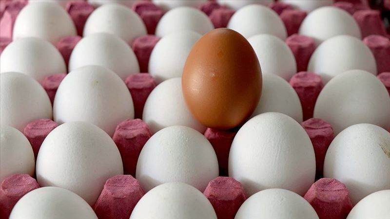 Burada 30’lu Yumurta Bile Çok Ucuz! Gören Koli Koli Alıyor; Sınırlı Stokla Satışta! 1