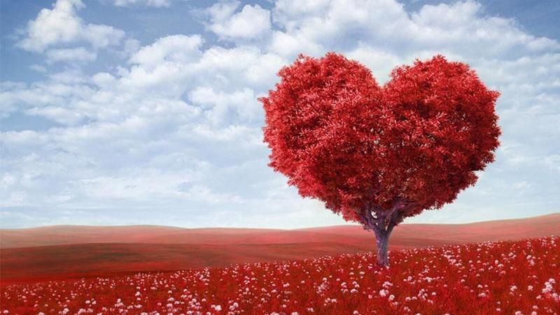 Sevgililer Günü'nü Mutlu Geçirecek 3 Şanslı Burç Belli Oldu? İşte 14 Şubat'ta Sevgi Pıtırcığı Olacak O Burçlar… 1