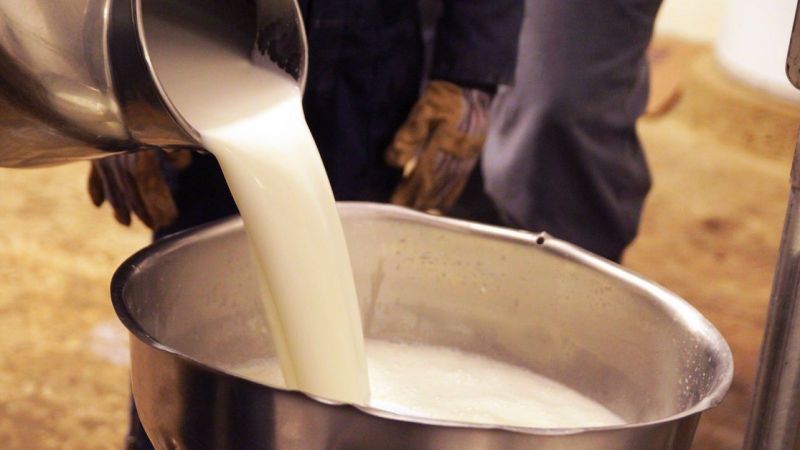 Süt Fiyatlarında Büyük Değişim Kapının Ucunda! Üreticiye Büyük Müjde Duyuruldu! Tam Tamına… 3