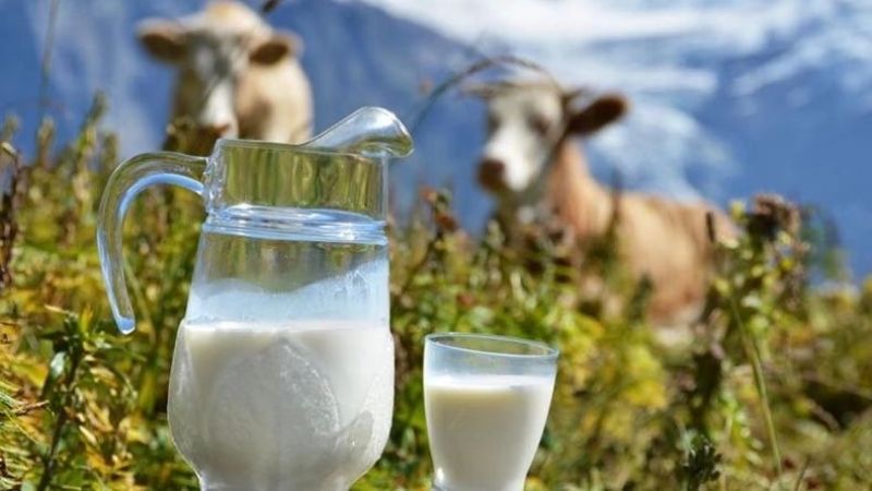 Süt Fiyatlarında Büyük Değişim Kapının Ucunda! Üreticiye Büyük Müjde Duyuruldu! Tam Tamına… 2