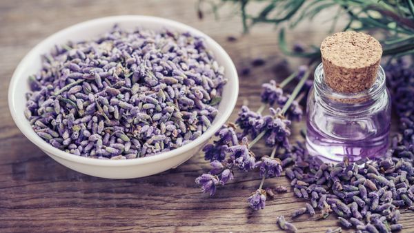 Yüzünüzü Pürüzsüz ve Pamuk Gibi Yapıyor! Cilde En İyi Gelen Yağ Hangisidir? Faydaları Nelerdir? 6