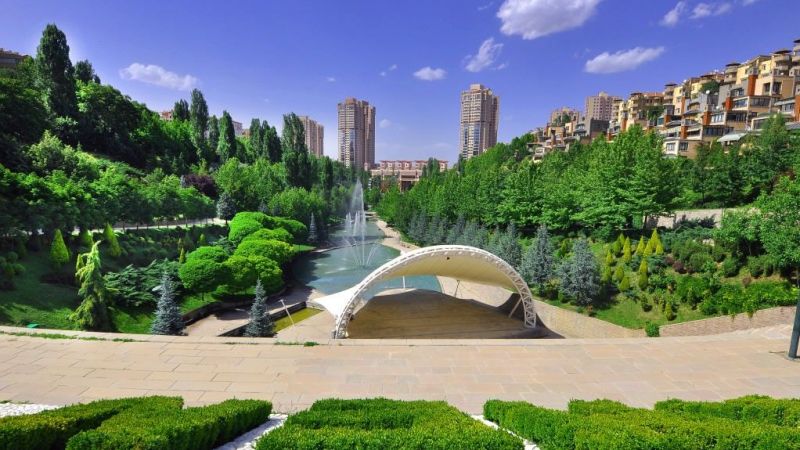 Burası Japonya değil, Ankara Dikmen Vadisi! Sakura ağaçları Ankara’da Ortaya Çıktı! Herkes O Bölgeye Akın Etti… 4