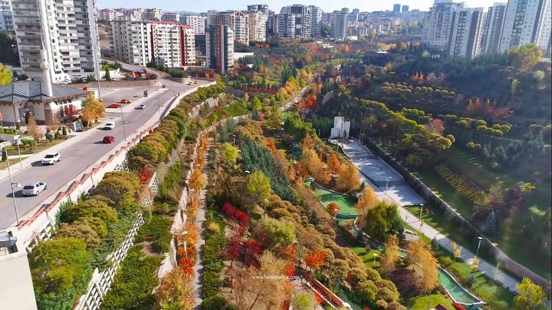 Burası Japonya değil, Ankara Dikmen Vadisi! Sakura ağaçları Ankara’da Ortaya Çıktı! Herkes O Bölgeye Akın Etti… 5