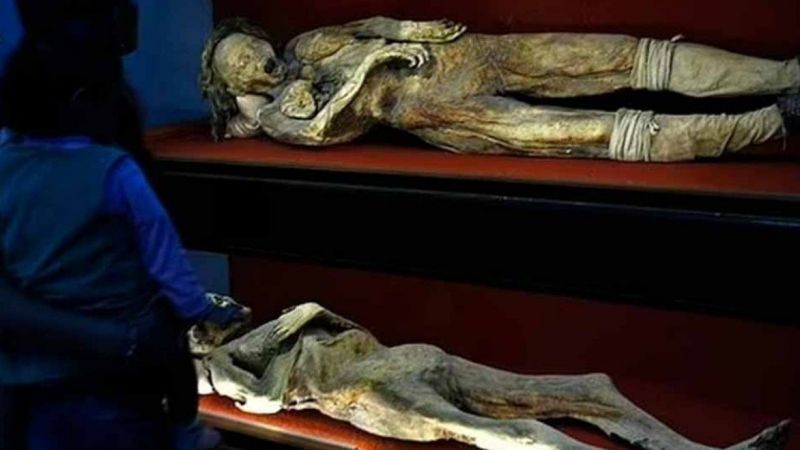 Müzedeki Mumyaların Üzerinde Yetişen Mantarlar Şok Etti! Sebebini Duyanlar Şaştı Kaldı… 2