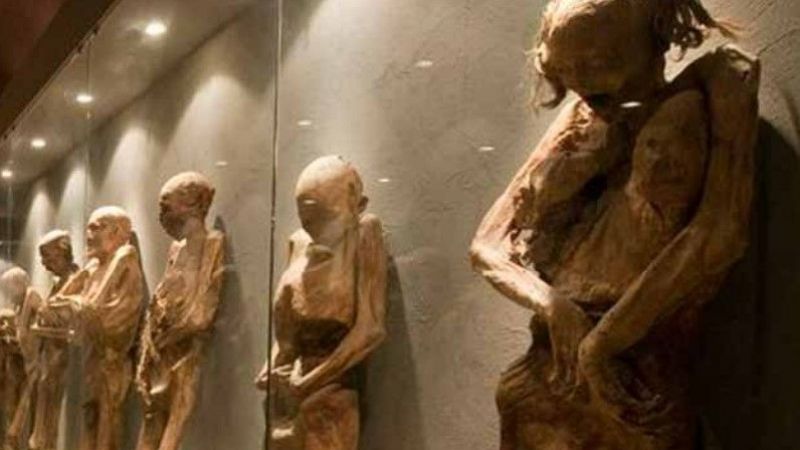 Müzedeki Mumyaların Üzerinde Yetişen Mantarlar Şok Etti! Sebebini Duyanlar Şaştı Kaldı… 1
