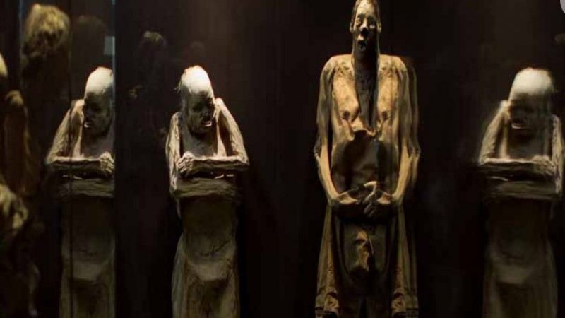Müzedeki Mumyaların Üzerinde Yetişen Mantarlar Şok Etti! Sebebini Duyanlar Şaştı Kaldı… 3
