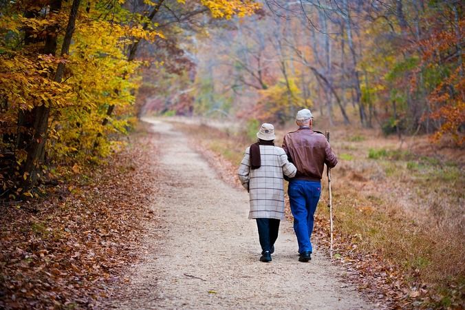 Emekli Olmadan Her Ay  2.604 TL Maaş Alabilirsiniz! 65 yaş üstü vatandaşlara yaşlı aylığı veriliyor! İşte Başvuru ve Ödeme Detayları… 1