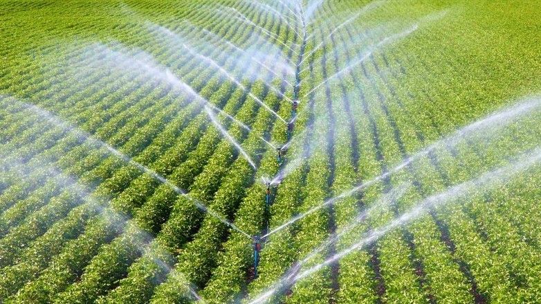 Toprakla uğraşan herkes yararlanabiliyor: Çiftçilerin su kullanım hizmet bedellerinin yüzde 50’sini devlet ödeyecek! Kararname Resmi Gazete’de yayımlandı! 3