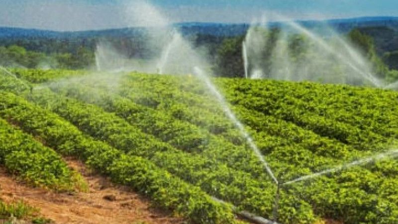 Toprakla uğraşan herkes yararlanabiliyor: Çiftçilerin su kullanım hizmet bedellerinin yüzde 50’sini devlet ödeyecek! Kararname Resmi Gazete’de yayımlandı! 4