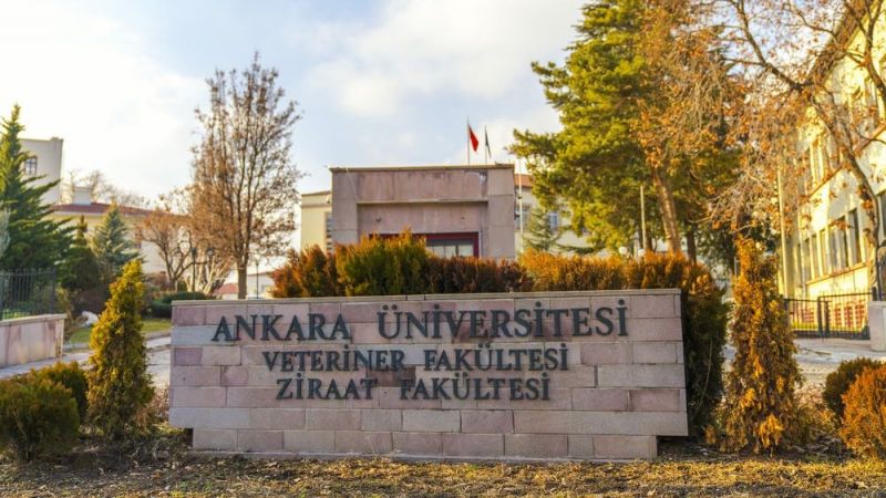 Ankaralılar Dikkat! Ankara Üniversitesi Personel Alımı Devam Ediyor! 952 Personel KPSS'de 50 Puan Şartı... 1