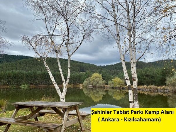 Ankara Kamp Alanları 2023! Ankara'da Ücretli ve Ücretsiz En İyi Kamp Alanları Neresidir? İşte Ankara 2023 Kamp Alanları… 6